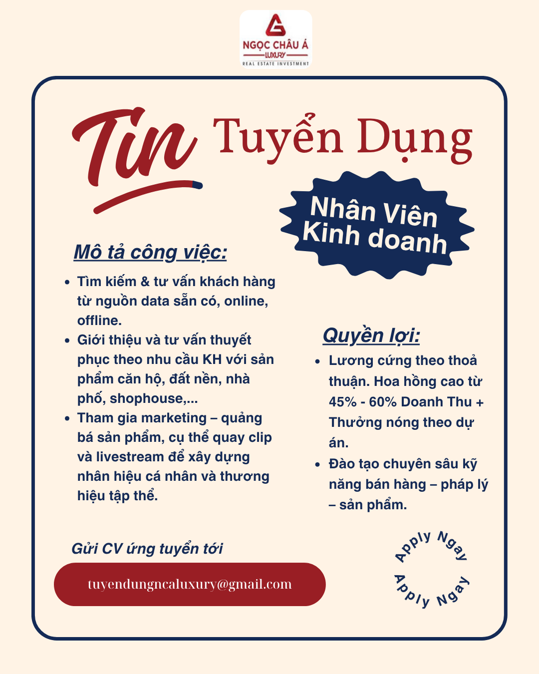 lĩnh vực hoạt động